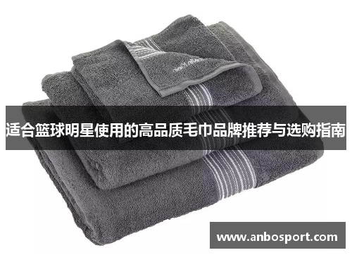 适合篮球明星使用的高品质毛巾品牌推荐与选购指南